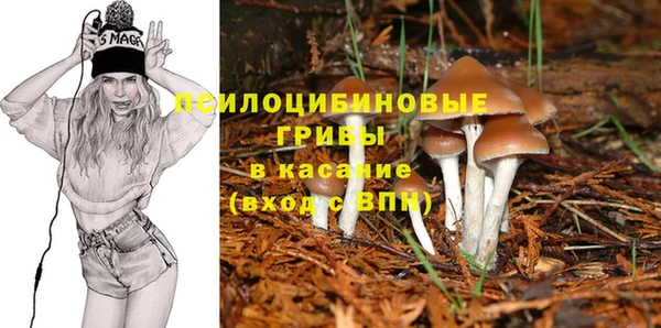 шишки Абинск