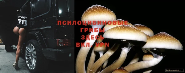 шишки Абинск