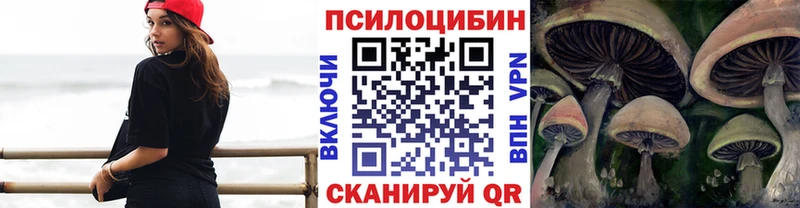 хочу наркоту  Кингисепп  Галлюциногенные грибы мухоморы 